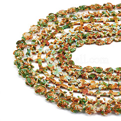 6 Strands 6 Styles Spray Painted Synthetic Turquoise Beads Strands&nbsp;G-TA0001-94