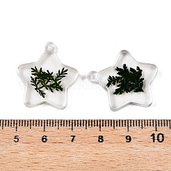 Epoxy Resin Pendants&nbsp;RESI-T058-02B