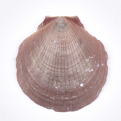 Shell Beads&nbsp;SSHEL-T005-07A