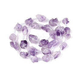 Raw Rough Natural Amethyst Beads Strands&nbsp;G-Q610-04