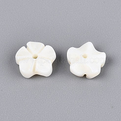 Natural Freshwater Shell Carved Beads&nbsp;SHEL-N038-36