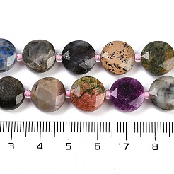 Natural Mixed Stone Beads Strands&nbsp;G-NH0004-049