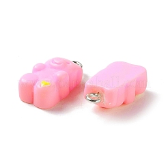 Opaque Resin Pendants&nbsp;RESI-G046-24P