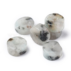 Natural Sesame Jasper/Kiwi Jasper Beads Strands&nbsp;G-Z006-C22