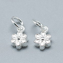 925 Sterling Silver Charms&nbsp;STER-T002-104S