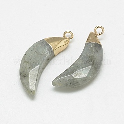 Natural Labradorite Pendants&nbsp;G-Q494-80D