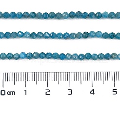 Natural Apatite Beads Strands&nbsp;X-G-Z057-B02-02