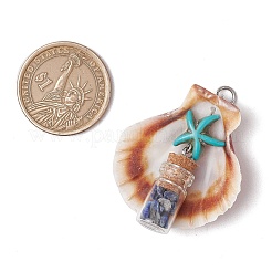 7Pcs 7 Styles Natural Scallop Shell & Dyed Synthetic Turquoise Starfish Pendants&nbsp;PALLOY-JF03564-01