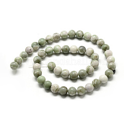 Natural Peace Jade Beads Strands&nbsp;G-Q462-50-8mm