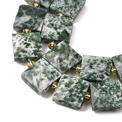 Natural Green Spot Jasper Beads Strands&nbsp;G-F839-A23-01