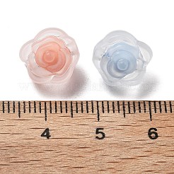 Frosted Transparent Acrylic Beads&nbsp;OACR-A032-17