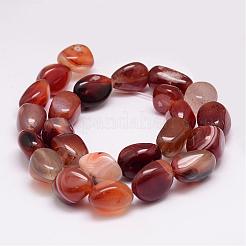 Natural Carnelian Bead Strands&nbsp;G-K153-D09