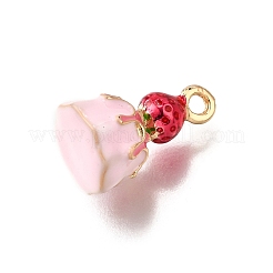Alloy Enamel Charms&nbsp;ENAM-D303-03G-03