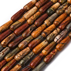 Natural Picasso Stone/Picasso Jasper Beads Strands&nbsp;G-D0017-05