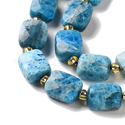 Natural Apatite Beads Strands&nbsp;G-H061-A04-01