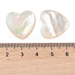 Natural White Shell Cabochons&nbsp;SSHEL-C012-20
