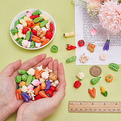 Opaque Resin Cabochons&nbsp;RESI-WH0038-66