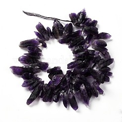 Rough Raw Natural Amethyst Beads Strands&nbsp;G-G010-12