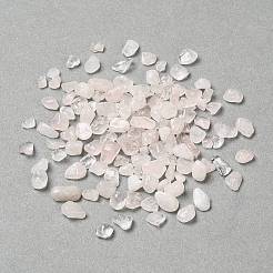 Natural Rose Quartz Chip Beads&nbsp;G-O103-12-01