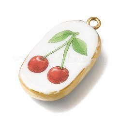 Fruit & Floral & Animals Printed Handmade Porcelain Pendants&nbsp;STAS-Z207-01G-09