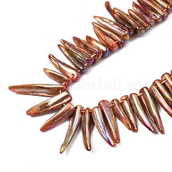 Electroplated Natural Freshwater Shell Beads&nbsp;SHEL-N026-197F