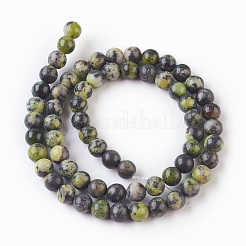 Natural Serpentine Beads Strands&nbsp;G-G767-05-6mm