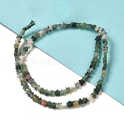 Natural Moss Agate Beads Strands&nbsp;G-G085-B17-01