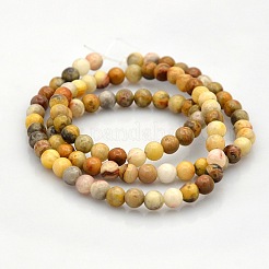 Natural Crazy Lace Agate Round Beads Strands&nbsp;G-N0120-16-4mm