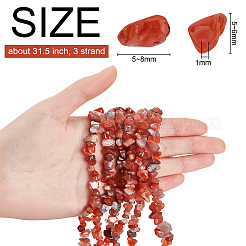3 Strand Natural Carnelian Beads Strands&nbsp;G-BC0001-25