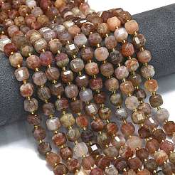 Natural Gold Sunstone Beads Strands&nbsp;G-K389-A51-01