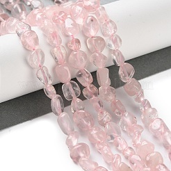 Natural Rose Quartz Beads Strands&nbsp;G-P497-01C-61