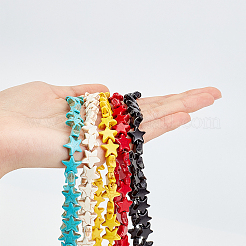 10 Strands 5 Colors Dyed Synthetic Turquoise Beads Strands&nbsp;G-CA0001-10