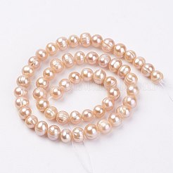 Natural Cultured Freshwater Pearl Beads Strands&nbsp;PEAR-D187-36-01