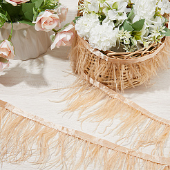 Fashion Ostrich Feather Trimming&nbsp;DIY-GF0008-16A