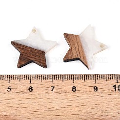 Resin & Walnut Wood Pendants&nbsp;RESI-T057-37M