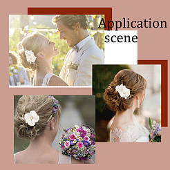 1Set Wedding Bridal Alloy Alligator Hair Clips&nbsp;OHAR-GA0001-05