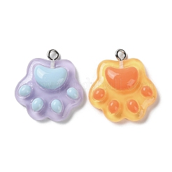 Cartoon Translucent Resin Pendants&nbsp;RESI-D071-01