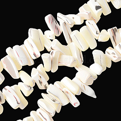 1 Strand Dyed Natural Trochus Shell Beads Strands&nbsp;SSHEL-PA0001-01B
