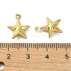 Ion Plating(IP) 304 Stainless Steel Charms&nbsp;STAS-L024-012G
