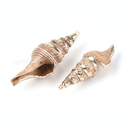 Natural Sea Shell Pendants with Golden Brass Edge&nbsp;BSHE-T014-20