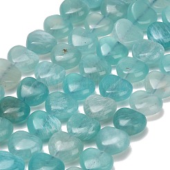 Natural Amazonite Beads Strands&nbsp;GG-D001-B01