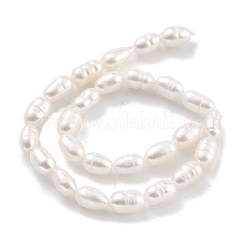 Natural Cultured Freshwater Pearl Beads Strands&nbsp;PEAR-P062-04C