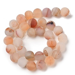 Natural Red Agate Beads Strands&nbsp;G-A248-A03-01