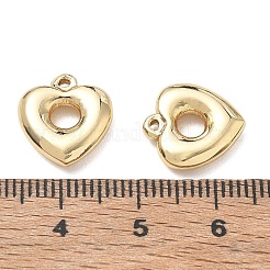 304 Stainless Steel Charms&nbsp;SA-CBA3037-20G-01