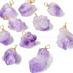 10Pcs Natural Amethyst Pendants&nbsp;PALLOY-CJ00158