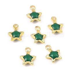 Brass Enamel Charms&nbsp;KK-K337-06G