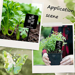24Pcs Acrylic Plant Label&nbsp;DIY-SP0006-50