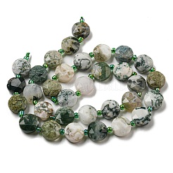 Natural Tree Agate Beads Strands&nbsp;G-NH0015-D04-01
