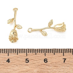 Brass Pendants&nbsp;KK-C259-09G