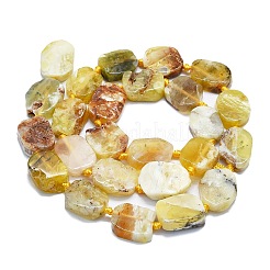 Natural Yellow Opal Beads Strands&nbsp;G-K245-L01-01